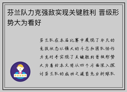 芬兰队力克强敌实现关键胜利 晋级形势大为看好