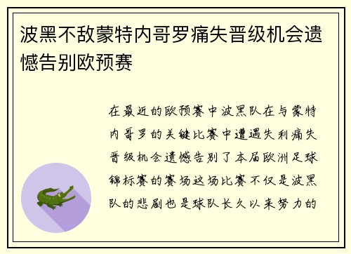 波黑不敌蒙特内哥罗痛失晋级机会遗憾告别欧预赛