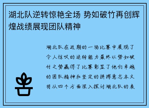 湖北队逆转惊艳全场 势如破竹再创辉煌战绩展现团队精神