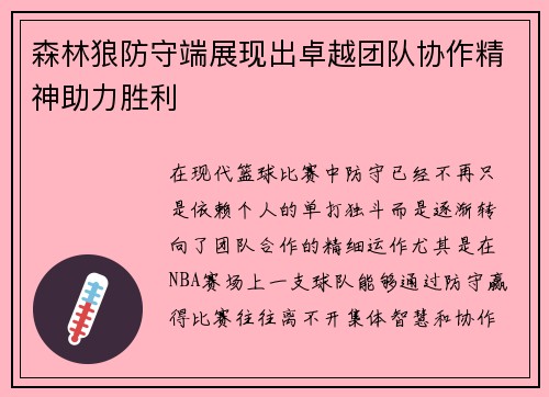 森林狼防守端展现出卓越团队协作精神助力胜利