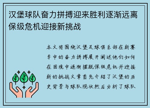 汉堡球队奋力拼搏迎来胜利逐渐远离保级危机迎接新挑战