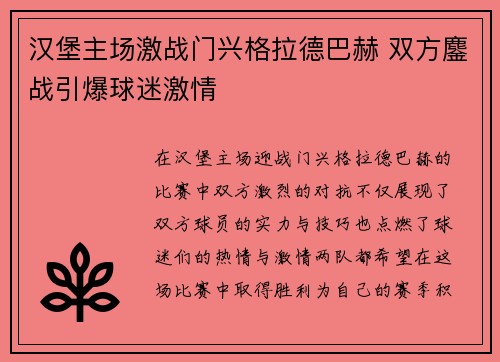 汉堡主场激战门兴格拉德巴赫 双方鏖战引爆球迷激情