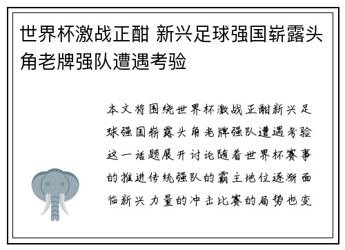 世界杯激战正酣 新兴足球强国崭露头角老牌强队遭遇考验
